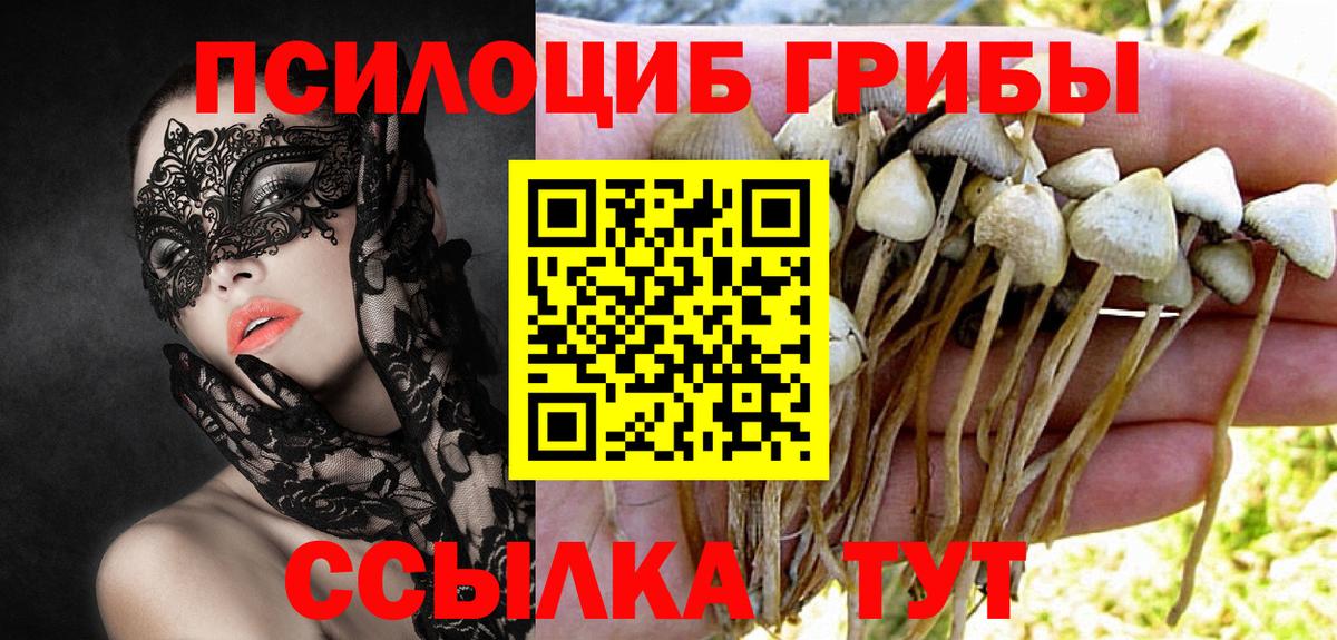 Галлюциногенные грибы Cubensis Алапаевск