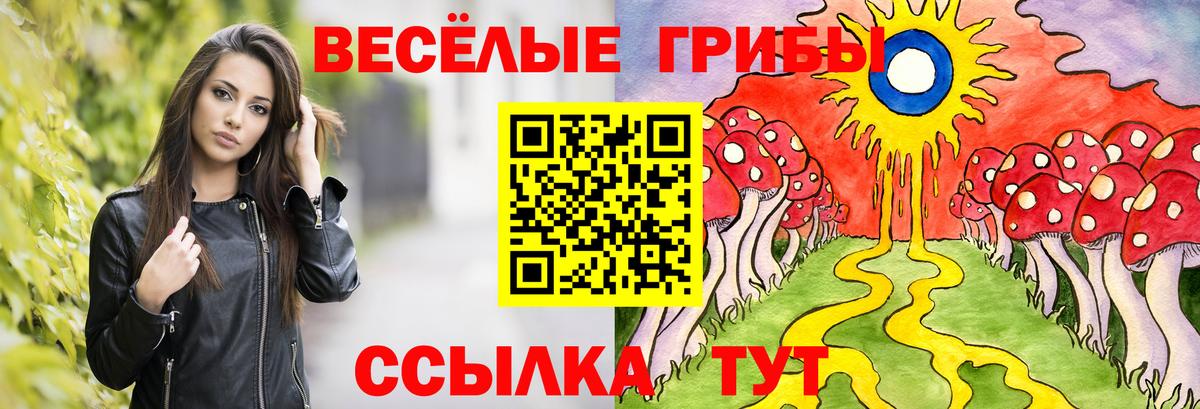 Псилоцибиновые грибы прущие грибы  Галлюциногенные грибы GOLDEN TEACHER  Алапаевск  закладка  Вход с VPN 